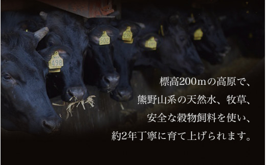 紀和牛すき焼き用ロース1kg【冷蔵】 / 牛 牛肉 紀和牛 ロース すきやき 1kg【tnk111-1】