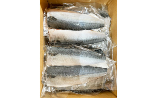 塩さばフィレ 24枚入(真空パック入)  / さば 鯖 おかず 冷凍 魚 切り身 焼き魚 焼魚 切身【uot742-1】