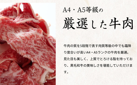 熊野牛A4以上ヒレシャトーブリアンステーキ200g(100g×2枚)＆霜降り赤身こま切れ300g 【uot745】