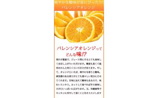 秀品　希少な国産バレンシアオレンジ　2.5kg　※2025年6月下旬頃〜7月中旬頃順次発送（お届け日指定不可）【uot752】