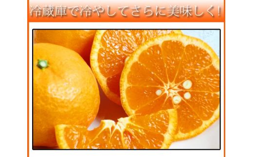 初夏のみかん　なつみ3kg　※2025年4月中旬〜2025年4月下旬頃に順次発送（お届け日指定不可）【uot753】