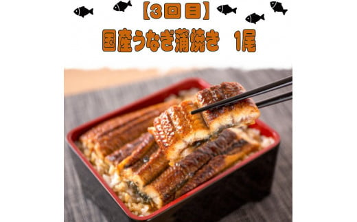 【全4回】魚鶴一押し！人気のお魚集合定期便（さば・銀鮭・うなぎ・海鮮丼）【tkb308】