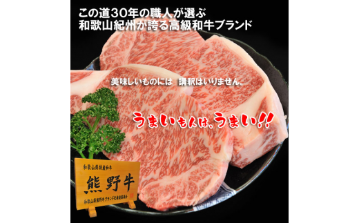 プレミアム熊野牛 焼肉 ４８０ｇ / 牛肉 肉 牛 焼き肉 和牛 牛 贈り物 【kbs005】