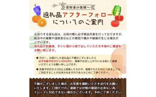 希少な柑橘!紀州有田産ブラッドオレンジ約3kg 【ご家庭用】※2025年3月下旬〜2025年4月中旬頃に順次発送 (お届け日指定不可)  / みかん オレンジ ブラッドオレンジ 柑橘				【uot771】