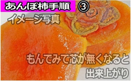 【県認定エコファーマー】あんぽ柿用生渋柿（平たねなし柿） 約14.5〜15kg（約50〜90玉）-AP【10月下旬から順次発送】【art002A】