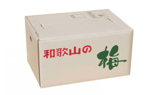 【梅干・梅酒用】（4Lまたは3L－2Kg）熟南高梅＜2025年6月上旬～7月上旬ごろに順次発送予定＞ / 梅 青梅 梅干 梅干し 大容量 梅酒 お酒【art006A】