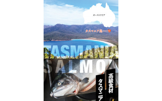 タスマニア産サーモンブロック 3ブロック 合計600g サーモン 鮭 さけ 刺身 さしみ 冷凍 オーストラリア産【nks701B】
