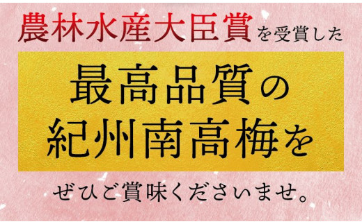 最高級紀州南高梅・大粒優梅 1.4kg　無添加【ご家庭用】  / 梅干 梅干し 梅 南高梅 大容量 人気 大粒 ご家庭用【inm500A】