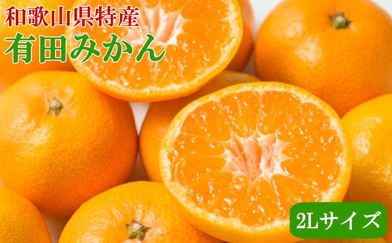 [秀品]和歌山有田みかん　9kg(2Lサイズ) ※2024年11月中旬～1月中旬頃順次発送【tec831】