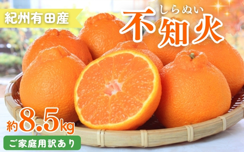 【ご家庭用】紀州有田産 不知火(しらぬひ) 約8.5kg 【予約】 訳あり ※2025年2月中旬頃～3月上旬頃に順次発送予定(お届け日指定不可) 不知火 みかん ミカン 柑橘 果物 フルーツ【uot507】