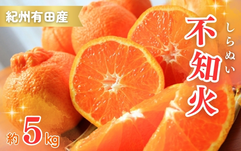 紀州有田産不知火(しらぬひ) 約5kg　※2025年2月中旬頃～3月上旬頃発送【uot709】