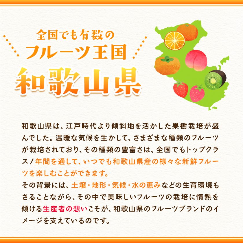 大玉みかん 2L～3L 10kg 和歌山県産 ひだまりみかん家 《2022年11月下旬-2023年1月下旬頃より順次出荷》 みかん 旬 蜜柑 ミカン  柑橘 果物 フルーツ 和歌山県 紀の川市 - ふるさとパレット ～東急グループのふるさと納税～