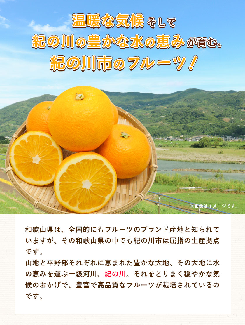 手剥き八朔缶詰(ミックス) 450g×8本入 JA紀の里農業協同組合 《90日以内に順次出荷(土日祝除く)》 和歌山県 紀の川市 - ふるさとパレット  ～東急グループのふるさと納税～