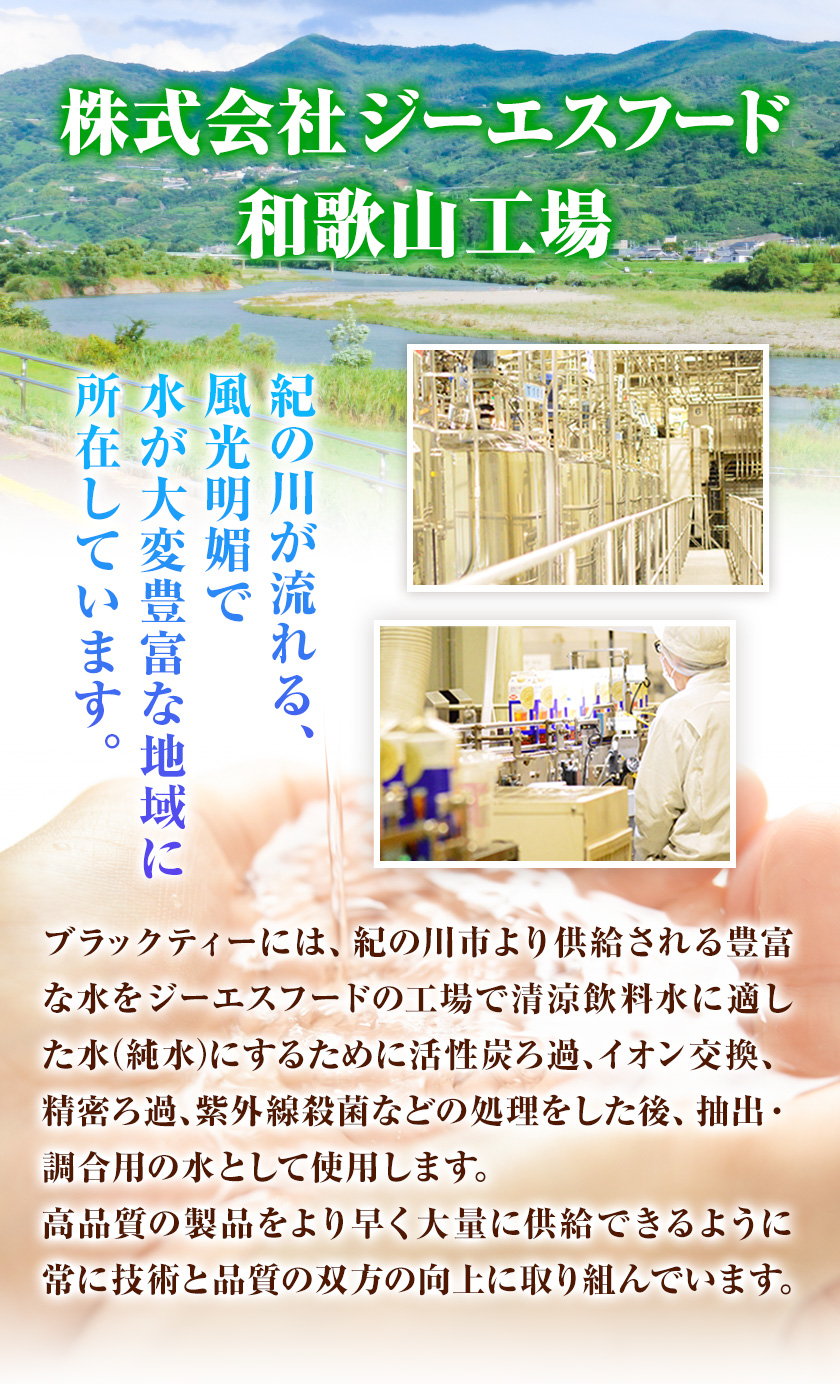 希釈紅茶飲料 GSブラックティー 加糖 500ml×12本《90日以内に順次出荷(土日祝除く)》和歌山県 紀の川市 飲料 紅茶 5倍希釈  株式会社ジーエスフード ミルクティー アイスティー - ふるさとパレット ～東急グループのふるさと納税～