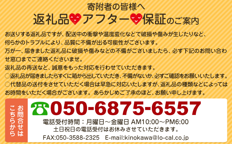 希釈紅茶飲料 GSブラックティー 加糖 500ml×12本《90日以内に順次出荷(土日祝除く)》和歌山県 紀の川市 飲料 紅茶 5倍希釈  株式会社ジーエスフード ミルクティー アイスティー - ふるさとパレット ～東急グループのふるさと納税～