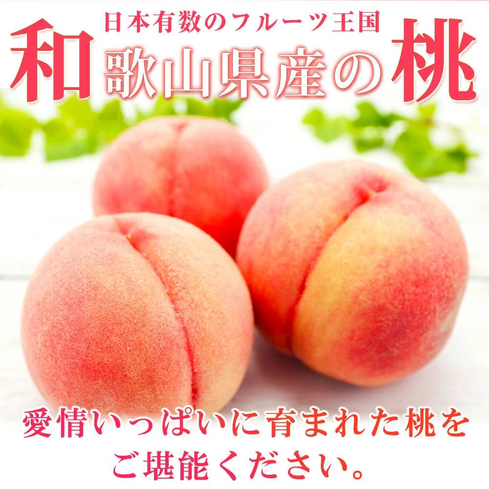 紀州和歌山産の桃　約1．8kg　化粧箱入【2025年7月上旬より順次発送】【UT52】