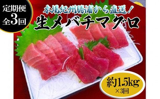 【定期便全3回】生まぐろの本場紀州勝浦から直送！　生メバチマグロ 約1.5kg（1カ月に1回お届け）（全3ヵ月）