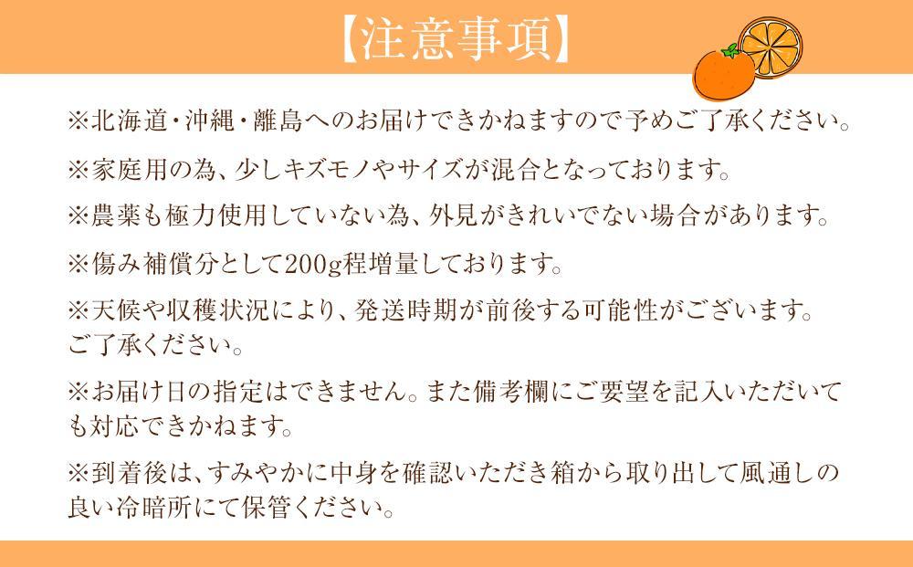 家庭用 森本農園の手選別 みかん 10kg +200g傷み補償付 和歌山県産 2S~2Lサイズ混合 【北海道・沖縄・離島配送不可】【RN31】