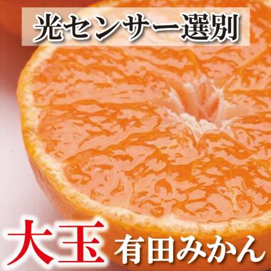 家庭用 大きな有田みかん10kg+300g（傷み補償分）訳あり＜11月より発送＞