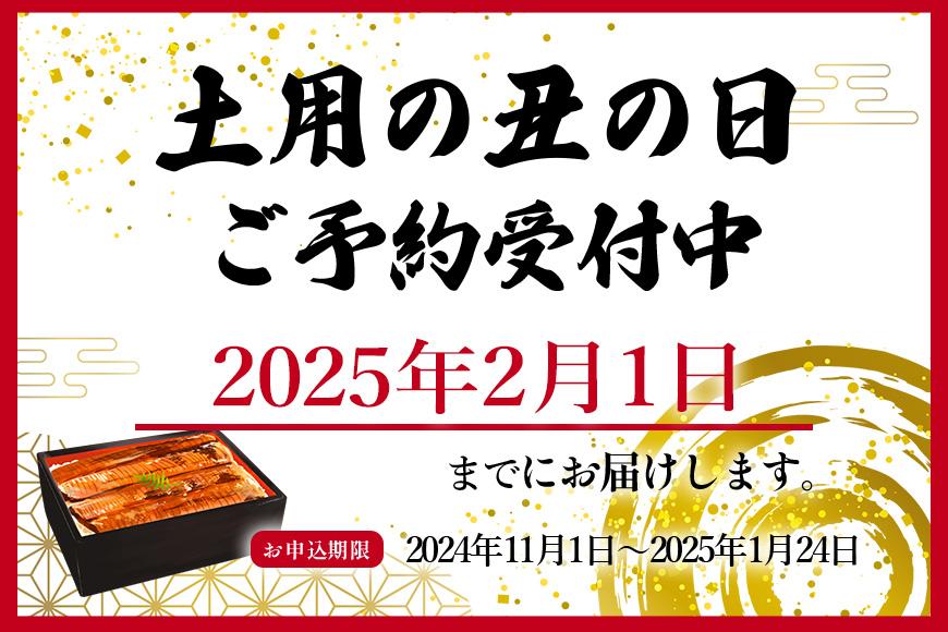 大型サイズ　ふっくら柔らか　国産うなぎ蒲焼き　2尾　化粧箱入【土用の丑の日のうなぎ】【2025年2月1日までにお届け】【UT05】