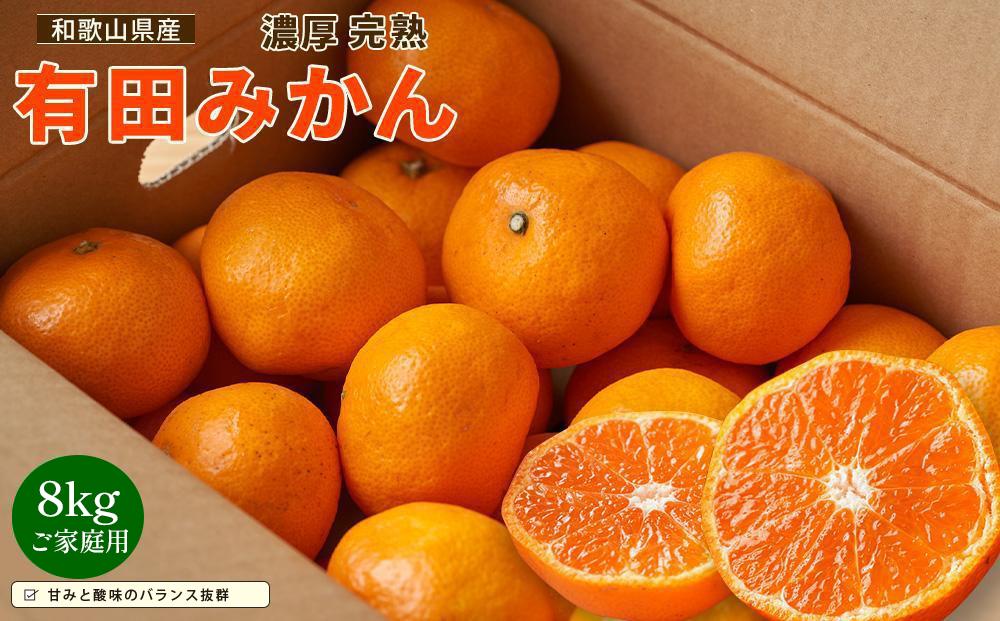 【先行予約】有田育ちのご家庭用 完熟有田みかん8kg【2024年11月上旬より発送】【訳あり】