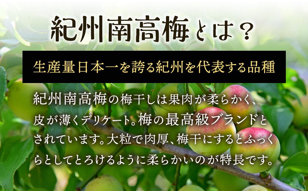 紀州南高梅使用　しそ仕込み完熟梅干し 無選別1kg