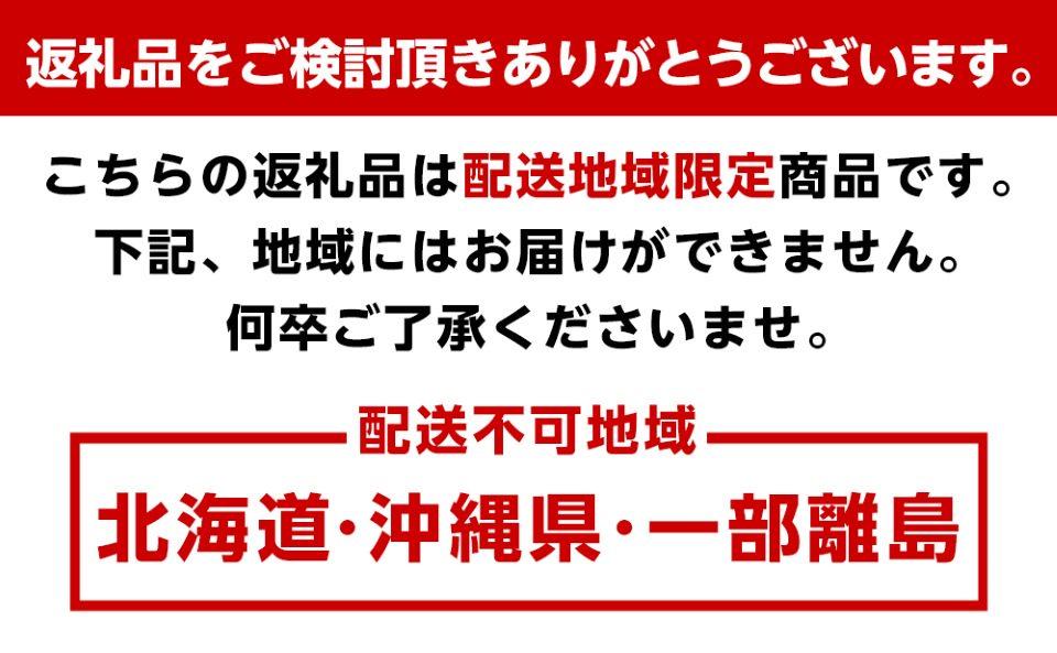 ＜2月より発送＞厳選 不知火3kg+90g（傷み補償分）【デコポンと同品種・人気の春みかん】【光センサー選別】