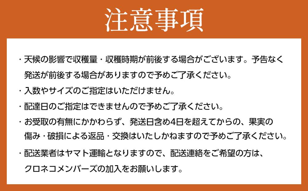 和歌山県産 訳あり 富有柿 7.5kg L ~ 2L サイズ ご家庭用 柿 選果場 直送 2024年11月中旬～発送