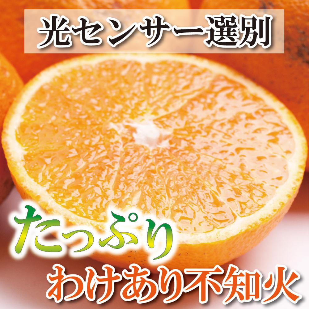 ＜2月より発送＞家庭用 不知火4kg+120g（傷み補償分）【デコポンと同品種・人気の春みかん】【わけあり・訳あり】【光センサー選別】