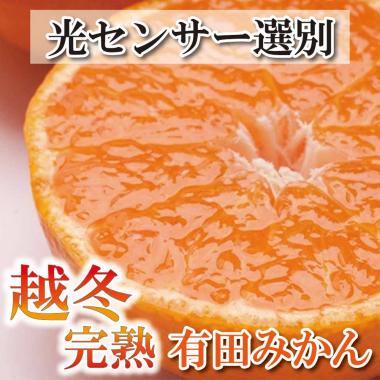 ＜1月より発送＞家庭用 越冬完熟みかん2.5kg+75g（傷み補償分）訳あり