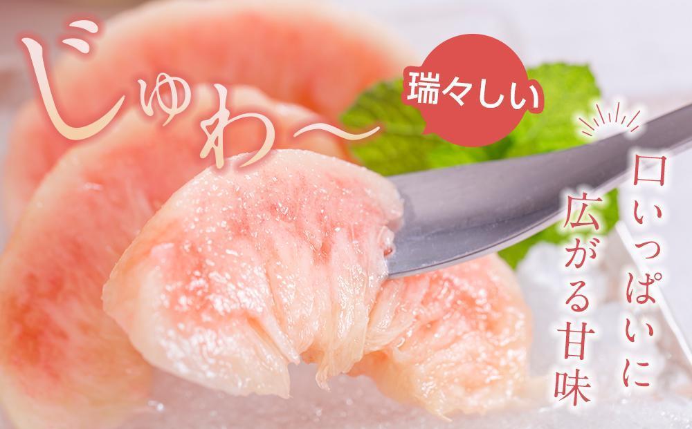 先行販売！【モモ】 白鳳　桃の王様！食べきりやすい３個入り【2025年6月下旬頃より順次発送】【秀品】こだわり農家厳選 【KG17】