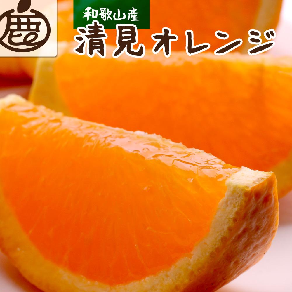 ＜2月より発送＞厳選 清見オレンジ5kg+150g（傷み補償分）【光センサー食頃出荷】【樹上完熟きよみオレンジ】