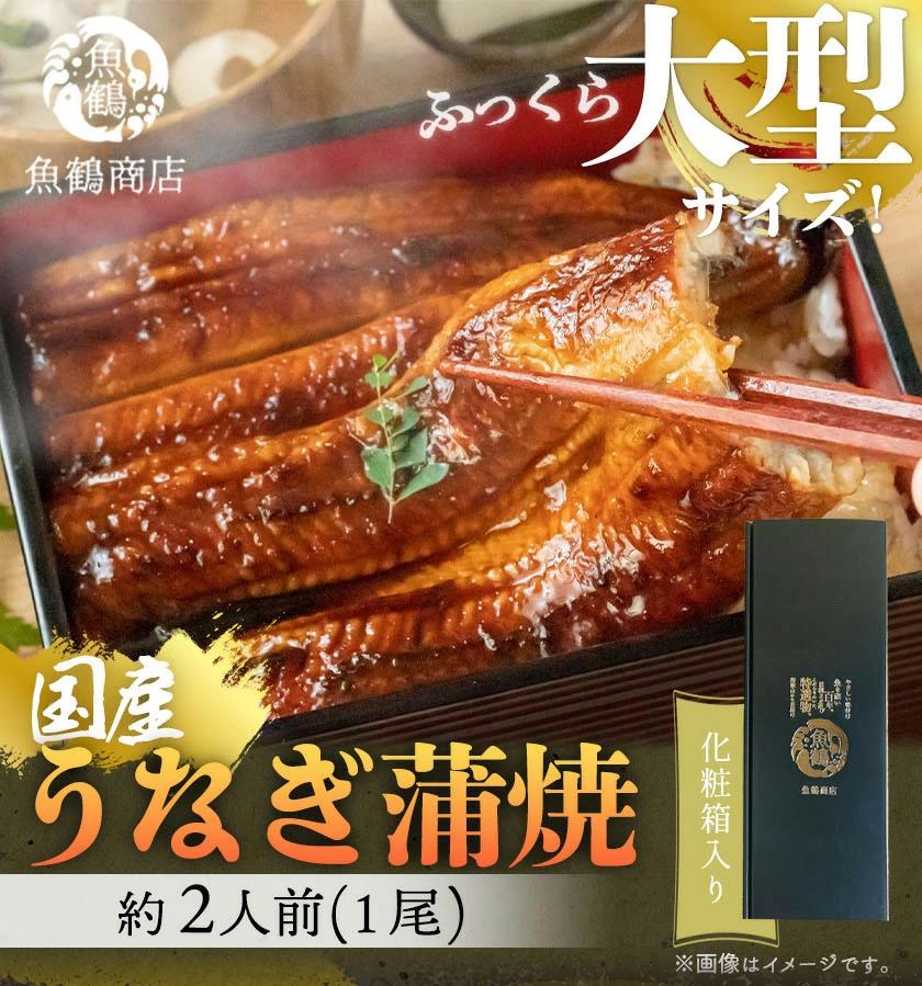 大型サイズ 　ふっくら柔らか国産うなぎ蒲焼き　１尾（約２人前）化粧箱入