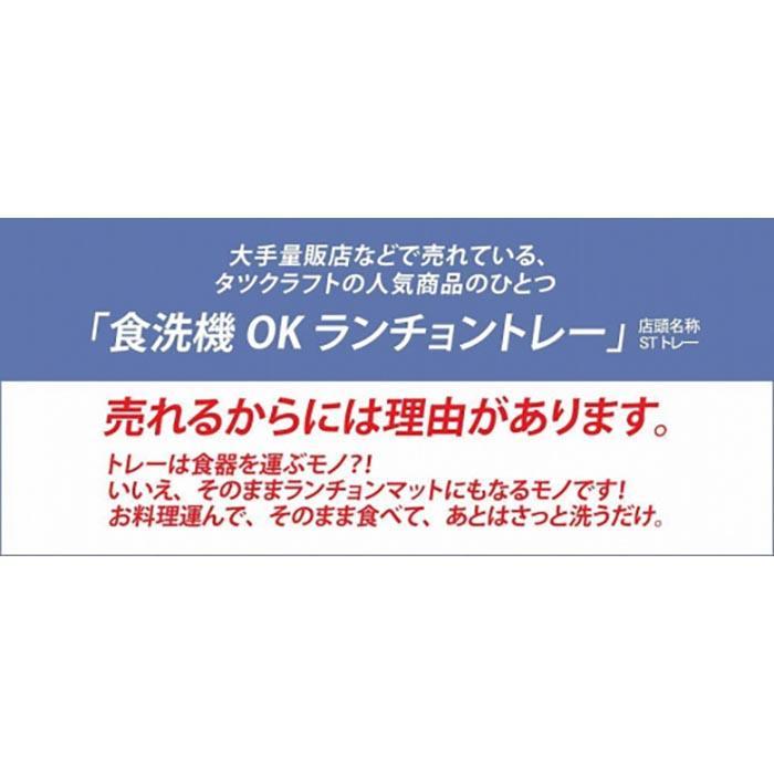 【ピンク×グリーン2枚組】ST ランチョン トレー L 39cm ミルキー チェック タツクラフト 【Tk105w】