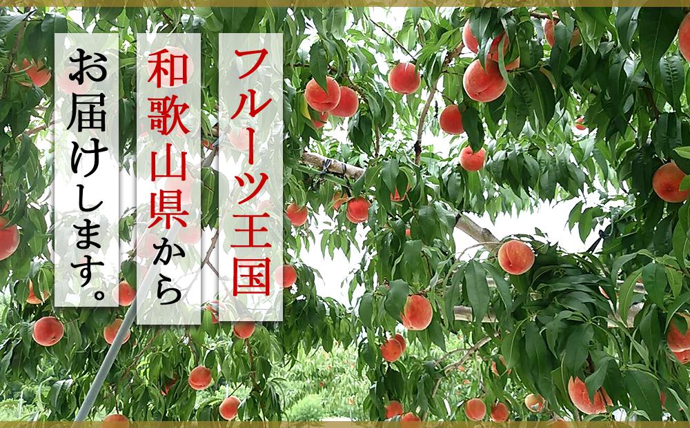 【大玉限定】和歌山県産 白鳳 《秀品》 3玉入り（3Lまたは4Lサイズ）【7月上旬より発送】【MG27】