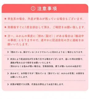 【先行予約】有田育ちのご家庭用 完熟有田みかん10kg【2024年11月上旬より発送】【訳あり】