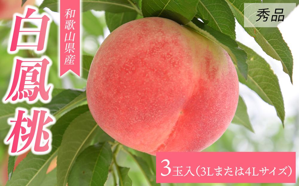 【大玉限定】和歌山県産 白鳳 《秀品》 3玉入り（3Lまたは4Lサイズ）【7月上旬より発送】【MG27】