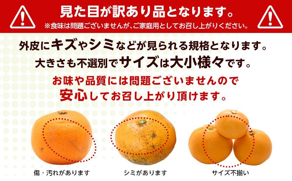 和歌山県産 糖度9.5度 以上 訳あり みかん2.5kg 3S ～ 3Ｌサイズ混合