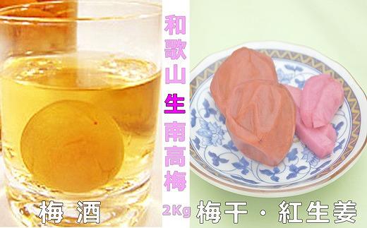 【梅干・梅酒用】（LまたはM－2Kg）熟南高梅＜2025年6月上旬～7月7日発送予定＞フルーツ 果物 くだもの 食品 人気 おすすめ 送料無料【ART07】