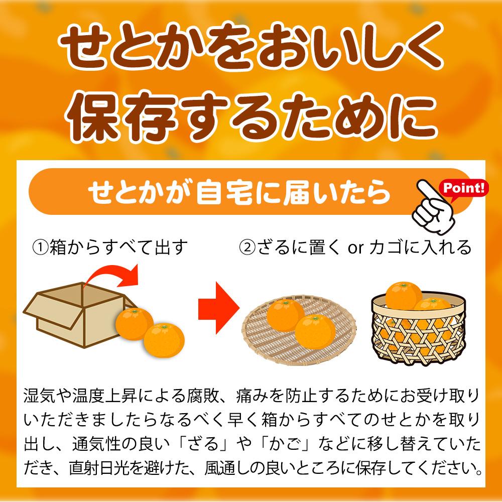 紀州有田産せとか約2.5kg　とろける食感！ジューシー柑橘【2025年2月上旬以降発送】【先行予約】【UT02】