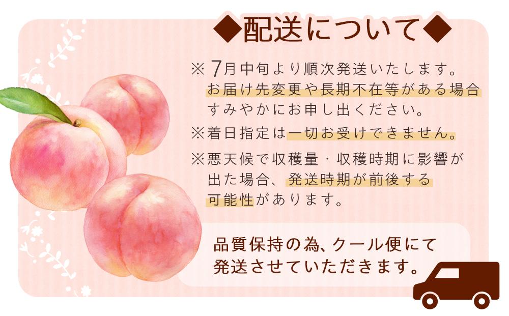 【大玉限定】和歌山県産 なつっこ《秀品》 3玉入り（3Lまたは4Lサイズ）【7月中旬より発送】【MG29】