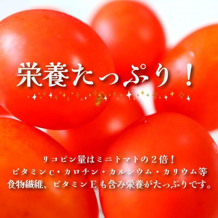 【2025年4月出荷分】和歌山産ミニトマト「アイコトマト」約2kg（S・Mサイズおまかせ）【TM140】