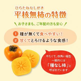 ◆先行予約◆和歌山県産 平核無柿＜贈答用／秀品＞8～13玉【2025年9月下旬以降発送】【MG4】柿 種無し たねなし ひらたね 先行予約