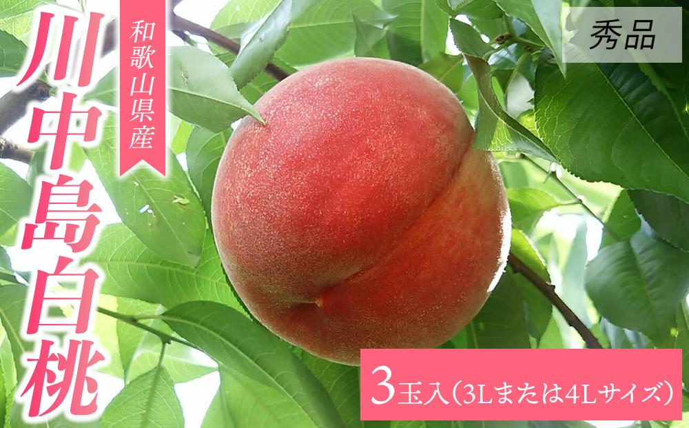 【大玉限定】和歌山県産 川中島白桃 《秀品》 3玉入り（3Lまたは4Lサイズ）【7月下旬より発送】【MG28】