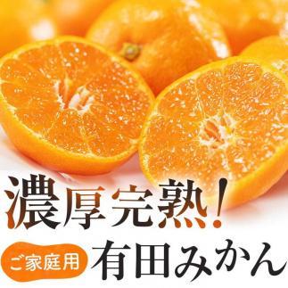 【先行予約】有田育ちのご家庭用 完熟有田みかん10kg【2024年11月上旬より発送】【訳あり】