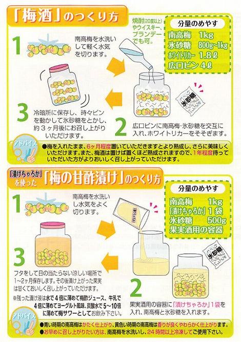 【梅干・梅酒用】（3Lまたは2L－10Kg）熟南高梅＜2025年6月上旬～7月7日発送予定＞フルーツ 果物 くだもの 食品 人気 おすすめ 送料無料【ART05】