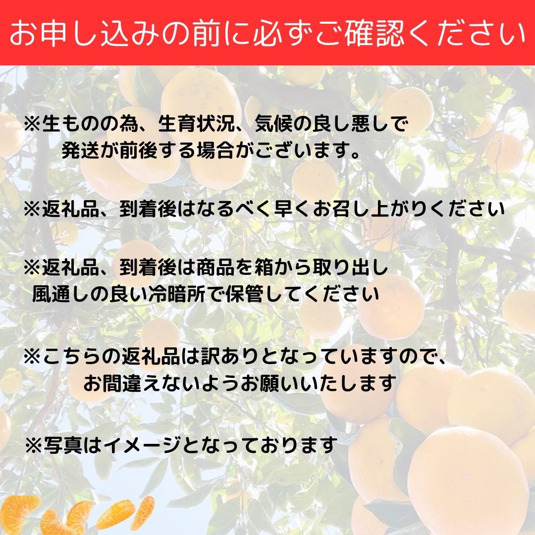 【訳あり】和歌山みかん 約9.5kg+補償分約500g サイズ混合 11月より順次発送 訳ありみかん 【red1】