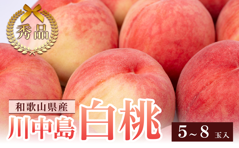 和歌山県産 川中島白桃 5～8玉入り 秀品 先行予約【2025年7月下旬以降発送】【MG7】