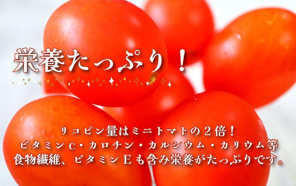 【2025年6月出荷分】和歌山産ミニトマト「アイコトマト」約2kg（S・Mサイズおまかせ）【TM166】