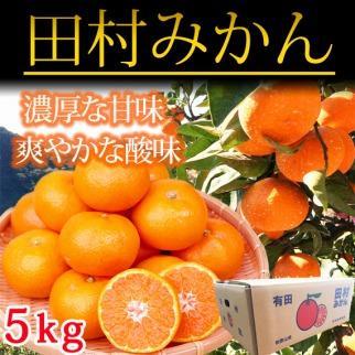 【6・8・10・12月 全4回】和歌山産 旬のフルーツ お楽しみ 定期便 【魚鶴商店】【UT108】